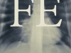 Fe