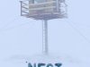 Nest